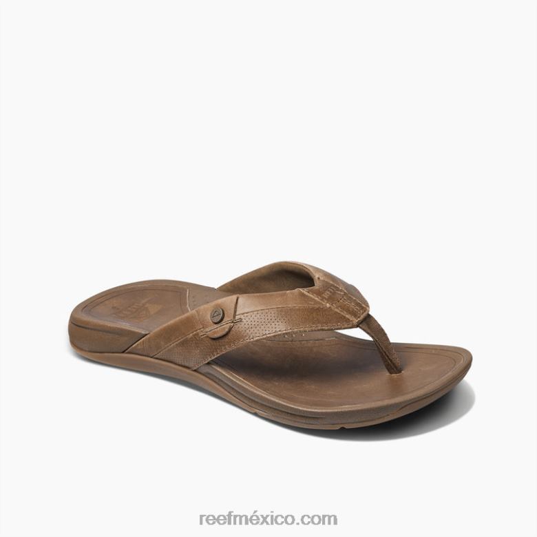 arrecife pacifico cuerohombres arena B4FFZ452