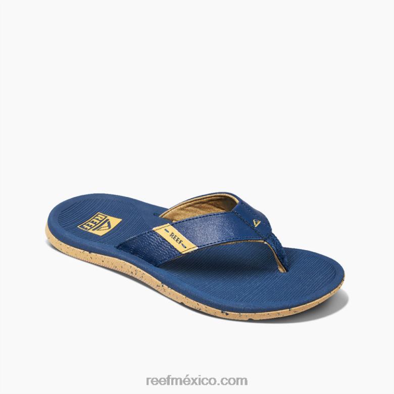 arrecife santa anahombres hoguera B4FFZ474