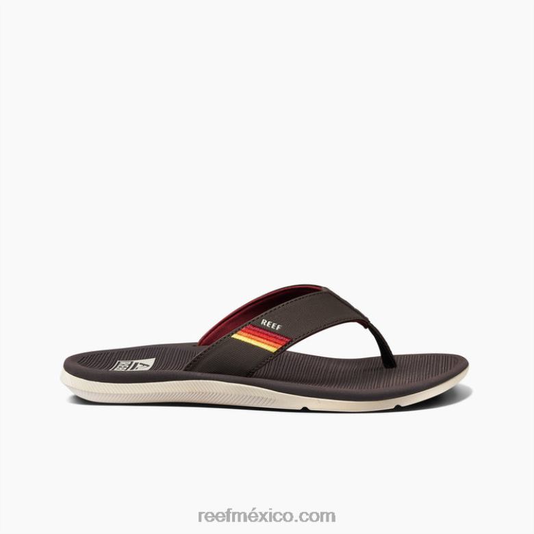 arrecife santa anahombres puesta de sol marrón vintage B4FFZ309