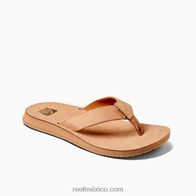 clásico de la deriva del arrecifehombres broncearse B4FFZ446