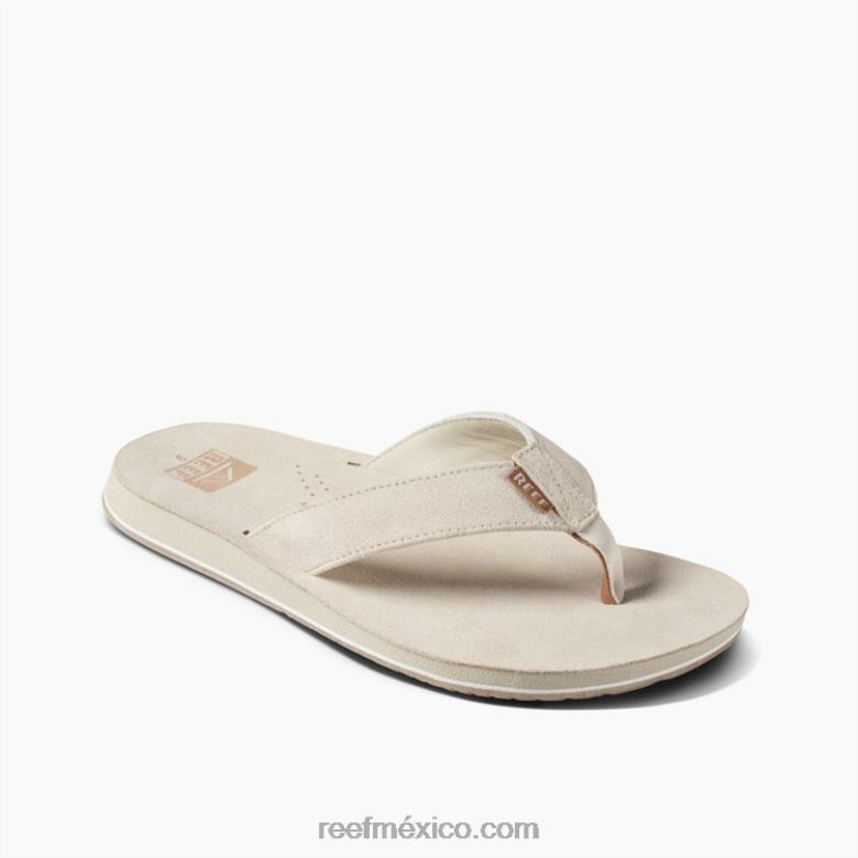 clásico de la deriva del arrecifehombres hueso B4FFZ405