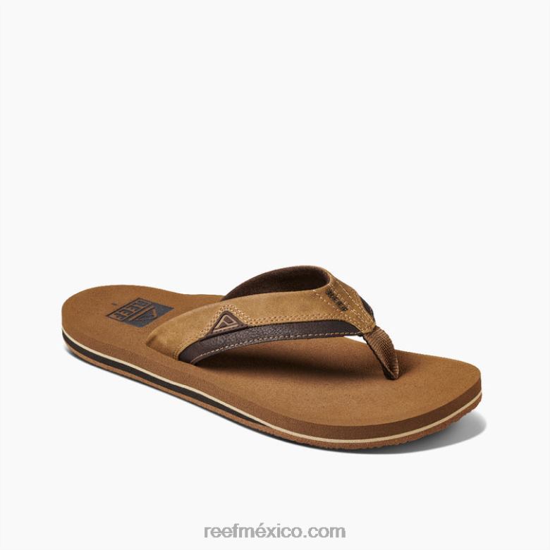 cojín amanecer Reef hombres bronce B4FFZ393