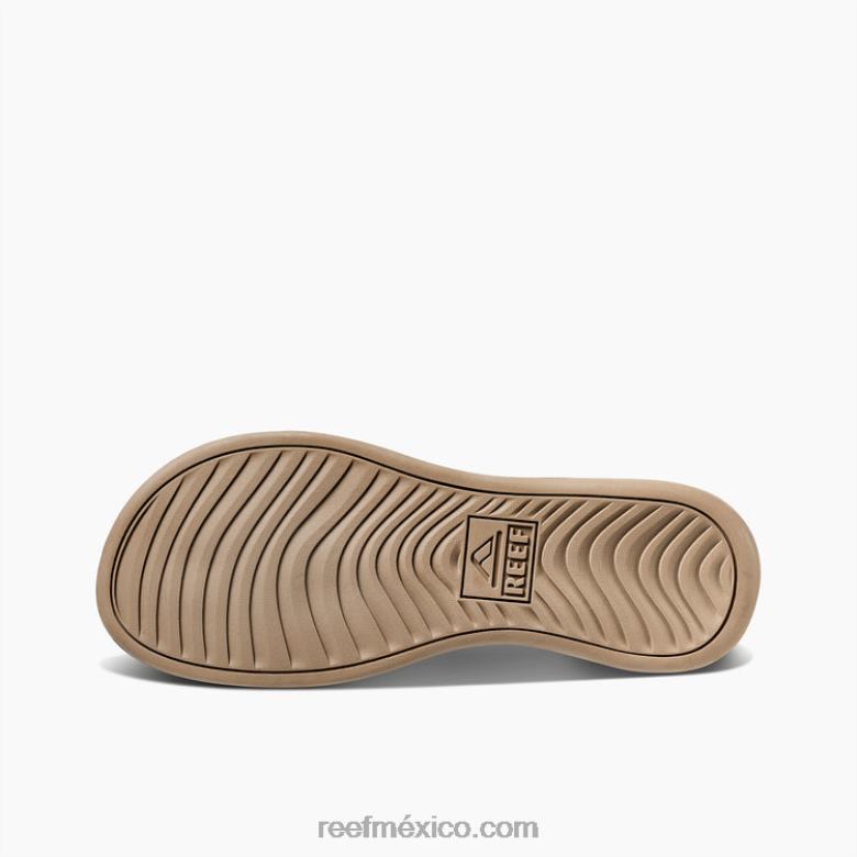 cojín de lujo Reef hombres cuervo/fósil B4FFZ457