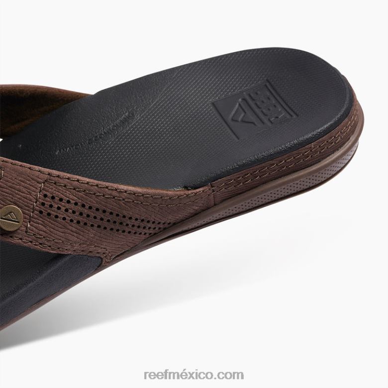cojín de lujo Reef hombres marrón oscuro B4FFZ360