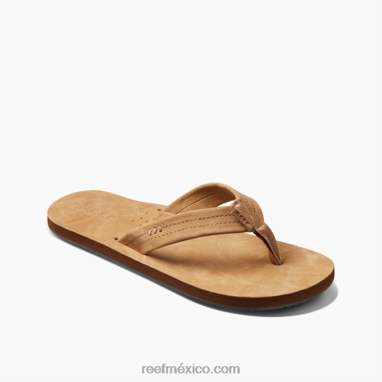 dibujantes de arrecifehombres bronceado clásico B4FFZ343