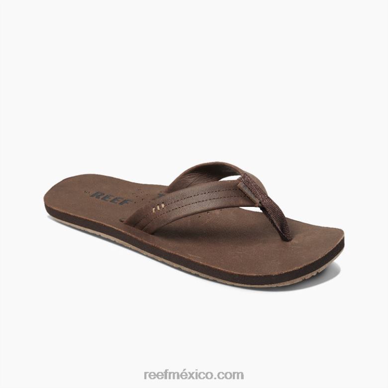 dibujantes de arrecifehombres chocolate B4FFZ350