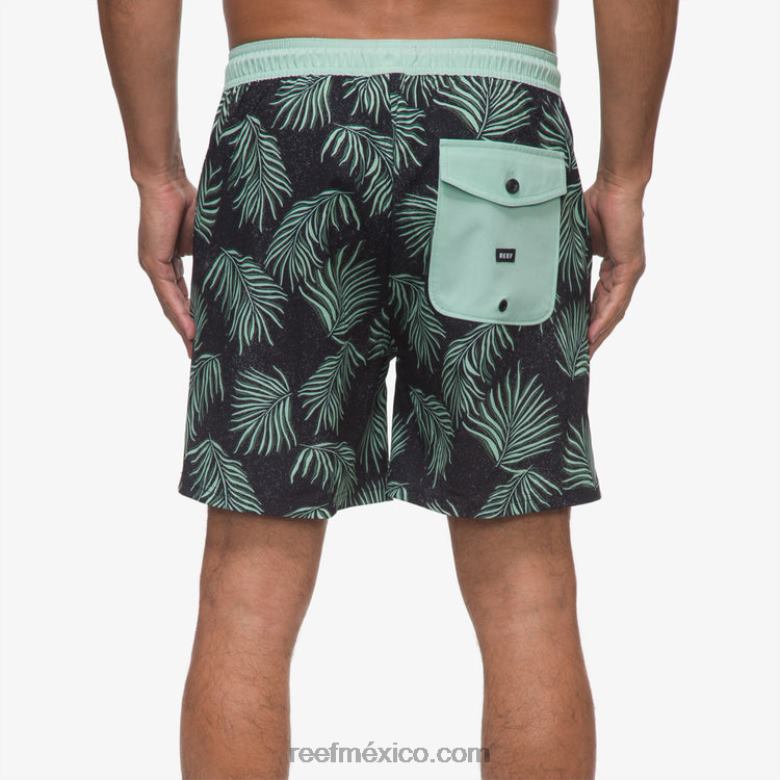 Bañador reno con cintura elástica 17\" Reef hombres caviar B4FFZ692