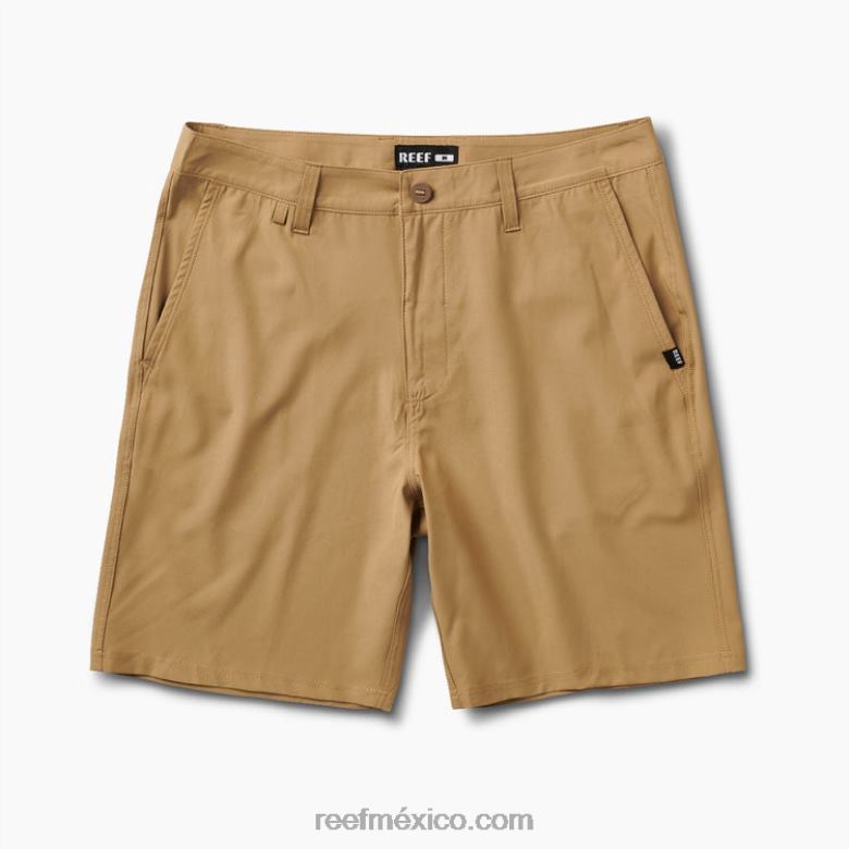 medford híbrido paseo corto 19\" Reef hombres nutria B4FFZ707