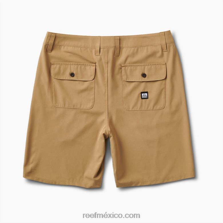 medford híbrido paseo corto 19\" Reef hombres nutria B4FFZ707