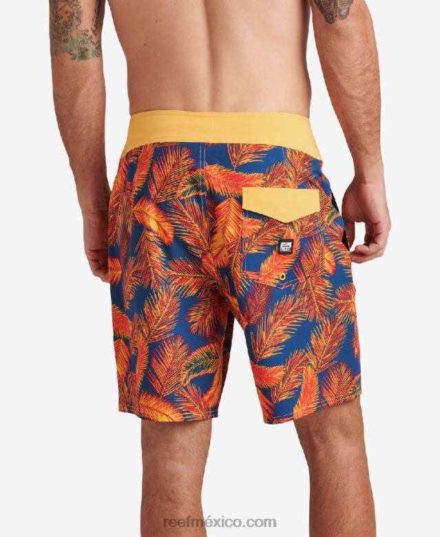 pantalones cortos harrison de 19\" Reef hombres insignias azules B4FFZ712