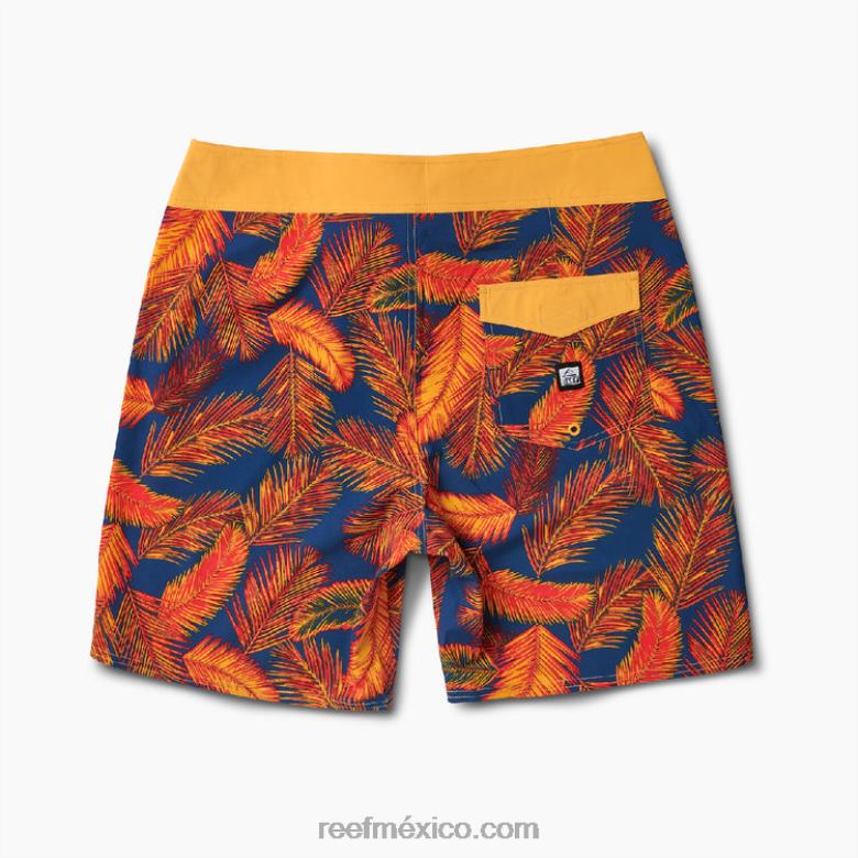 pantalones cortos harrison de 19\" Reef hombres insignias azules B4FFZ712