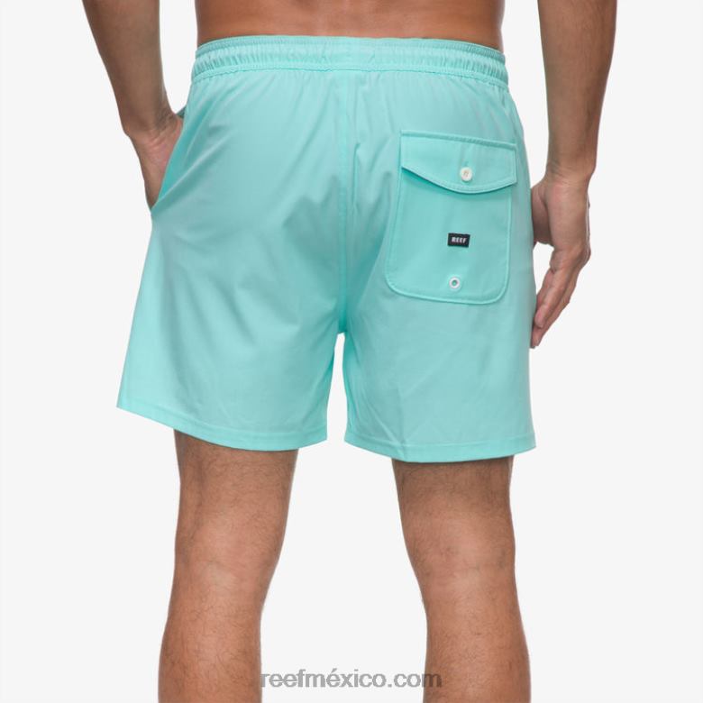 shorts de baño marzo cintura elástica 16\" Reef hombres azul aruba B4FFZ689