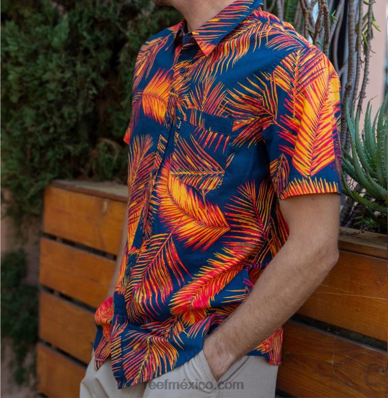 camisa de manga corta daintree Reef hombres hibisco B4FFZ634