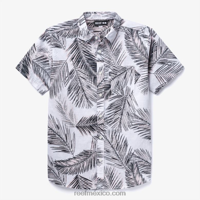 camisa de manga corta daintree Reef hombres malvavisco B4FFZ636