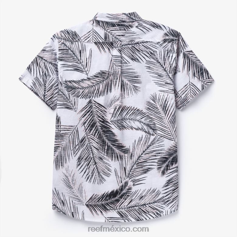 camisa de manga corta daintree Reef hombres malvavisco B4FFZ636