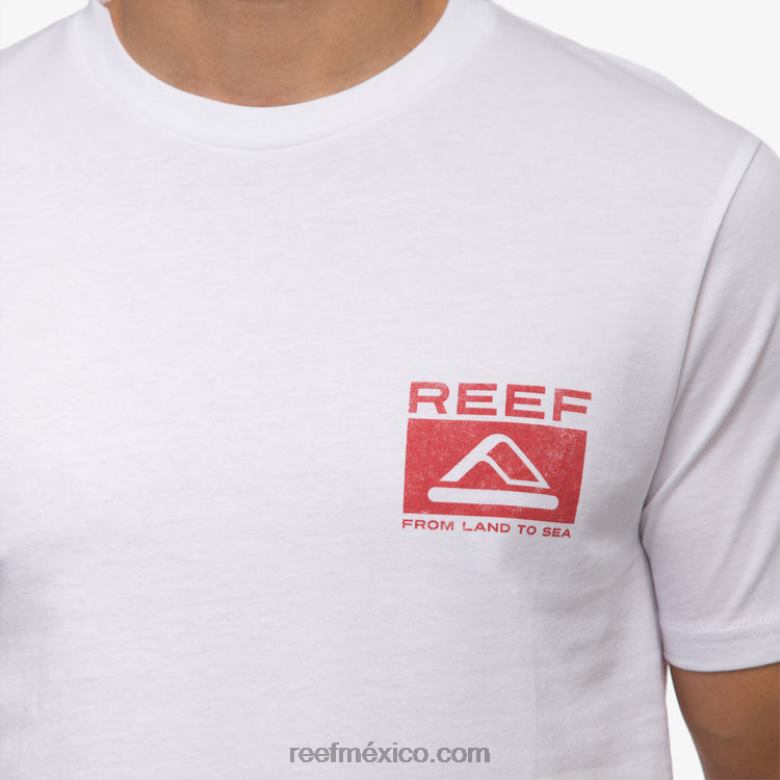 camiseta beverly manga corta Reef hombres blanco brillante B4FFZ564