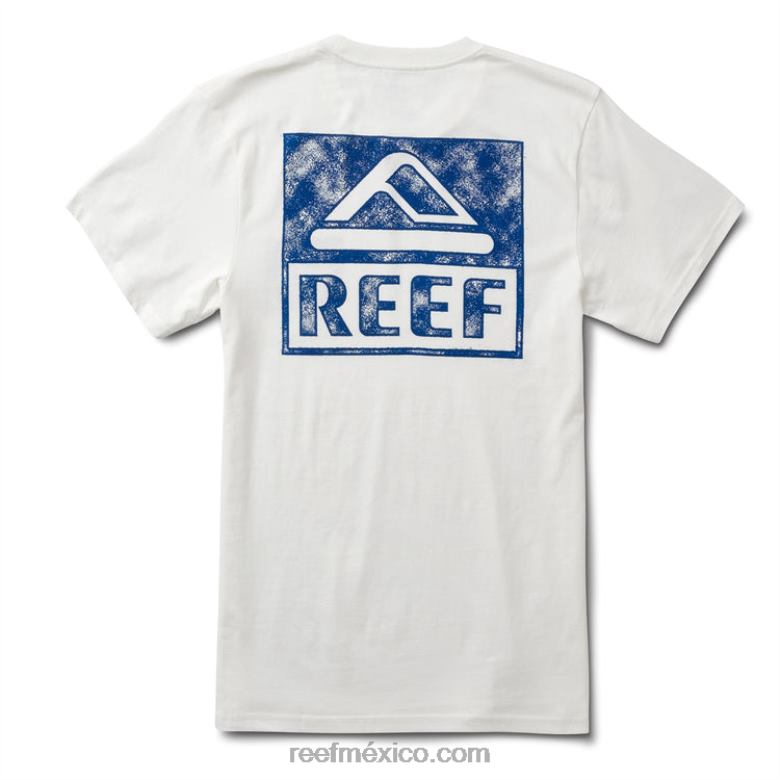 camiseta con gráfico de agua Reef hombres malvavisco B4FFZ621