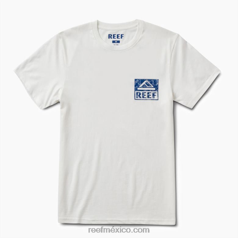 camiseta con gráfico de agua Reef hombres malvavisco B4FFZ621