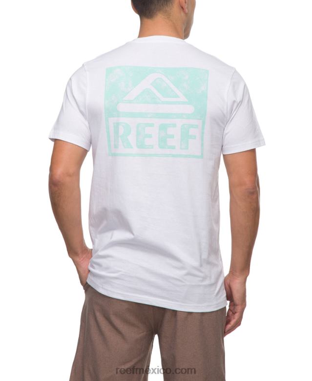 camiseta de manga corta Reef hombres blanco brillante B4FFZ560
