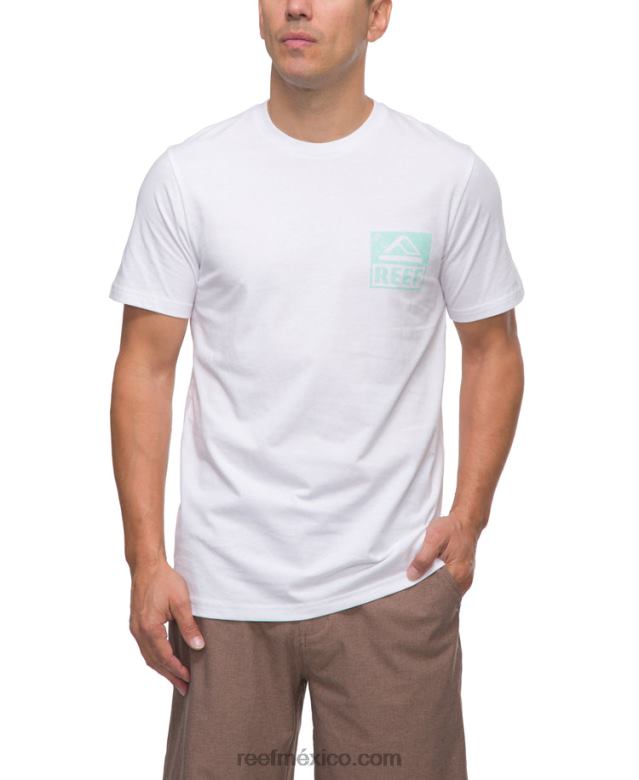 camiseta de manga corta Reef hombres blanco brillante B4FFZ560