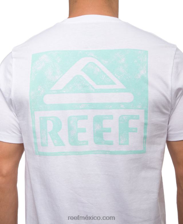 camiseta de manga corta Reef hombres blanco brillante B4FFZ560