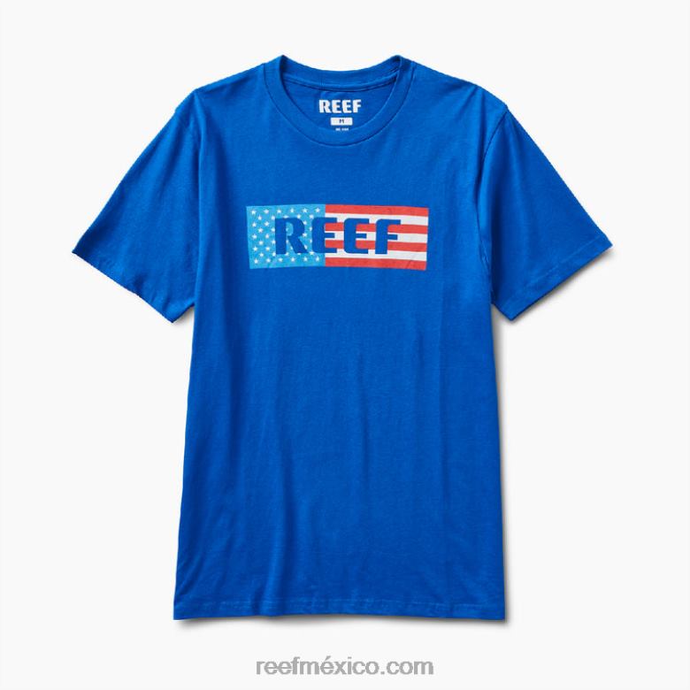 camiseta de manga corta Reef hombres lapislázuli B4FFZ620