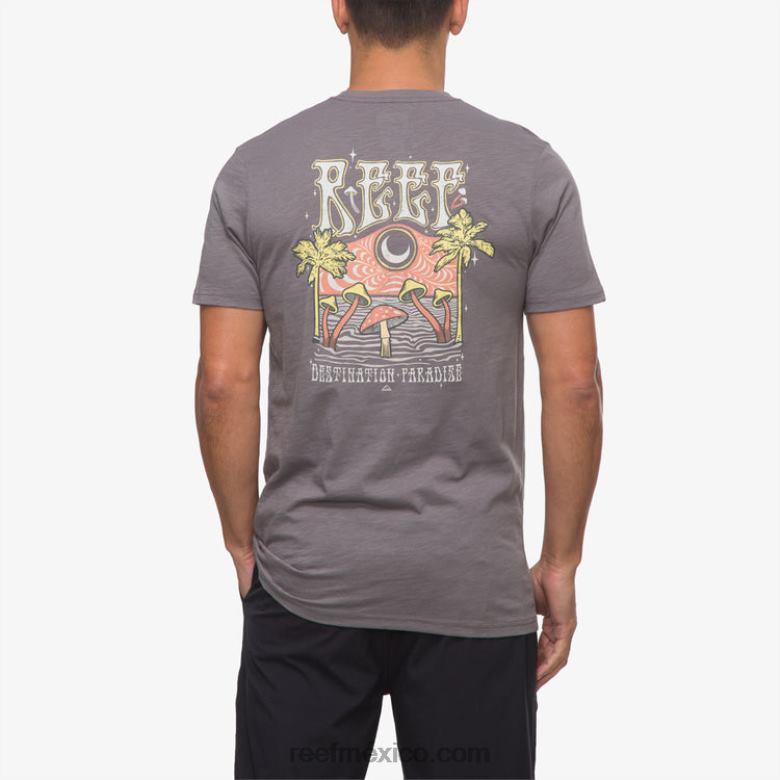 camiseta de manga corta con póster del paraíso Reef hombres sombra tranquila B4FFZ574
