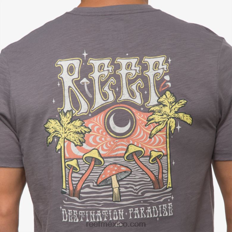camiseta de manga corta con póster del paraíso Reef hombres sombra tranquila B4FFZ574