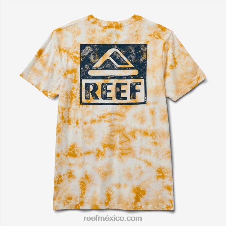 camiseta de manga corta con teñido anudado Reef hombres mineral B4FFZ579