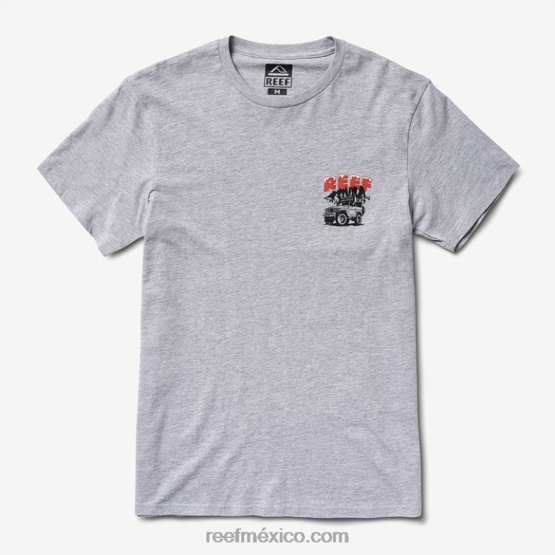 camiseta de manga corta de madera Reef hombres cuero gris B4FFZ587
