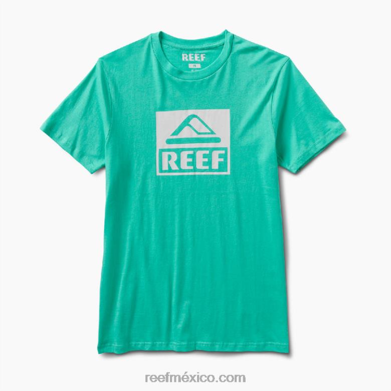 camiseta de manga corta del conductor Reef hombres verde electrico B4FFZ583