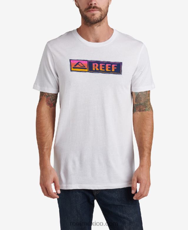 camiseta de manga corta lucis Reef hombres malvavisco B4FFZ571