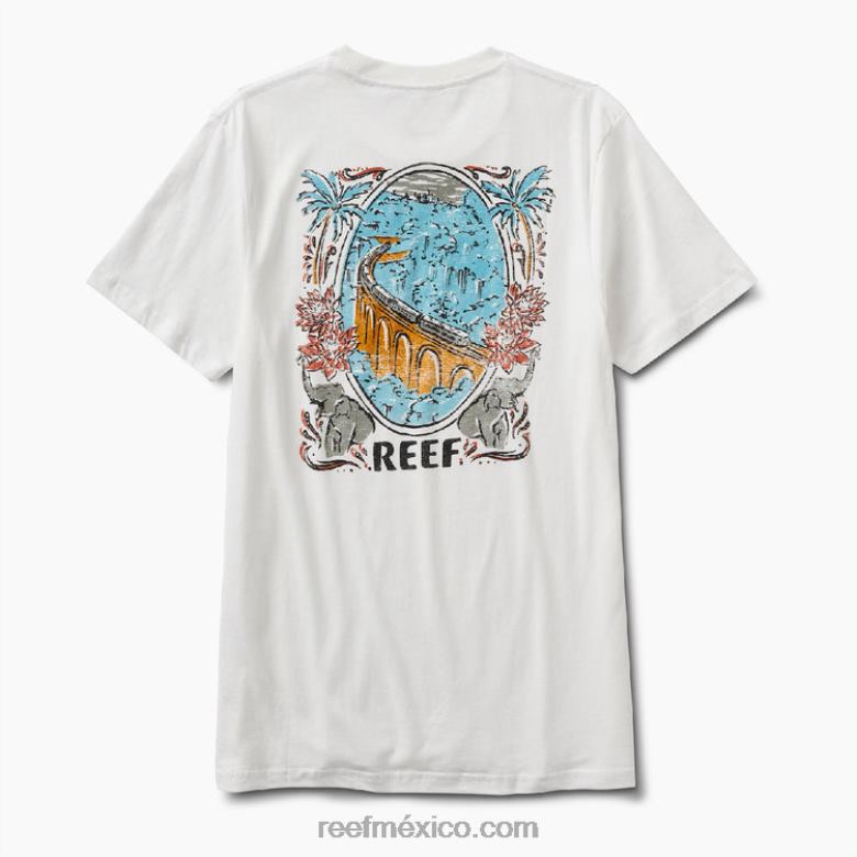 playera de manga corta aventura Reef hombres malvavisco B4FFZ555