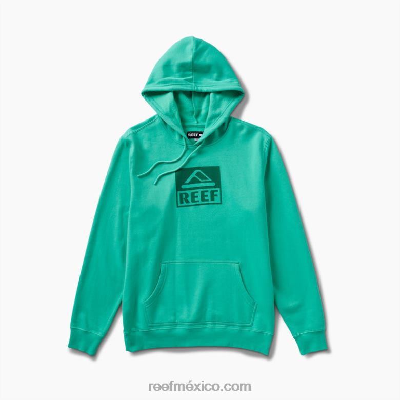línea de base sudadera con capucha Reef hombres verde electrico B4FFZ738