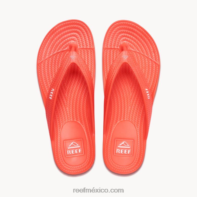 corte de agua Reef mujer amapola de neón B4FFZ107