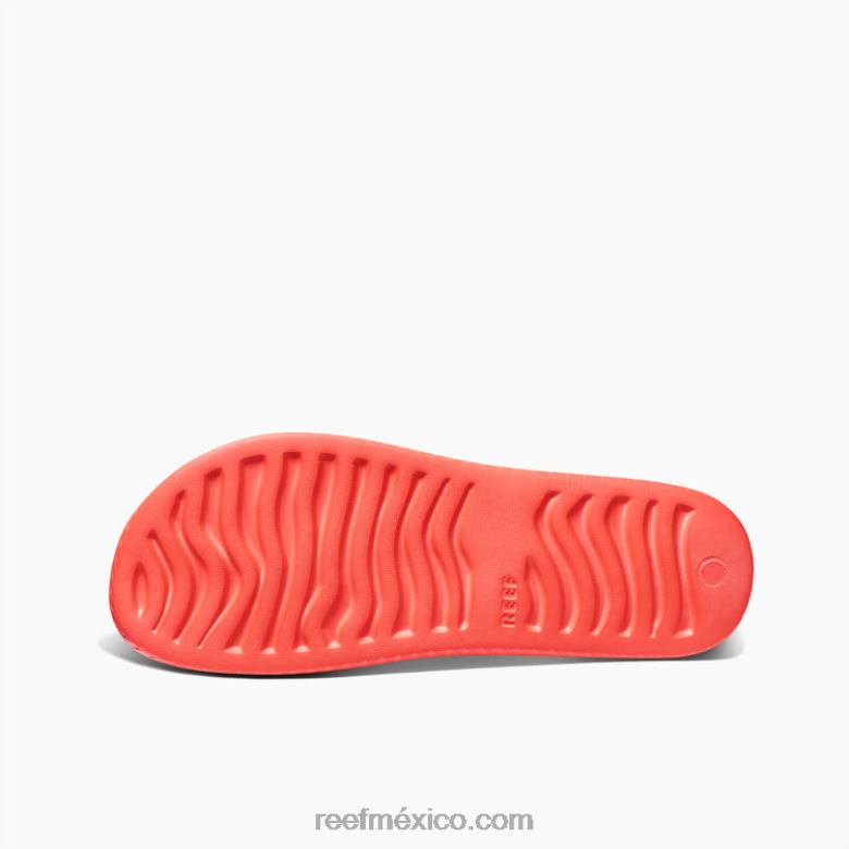 corte de agua Reef mujer amapola de neón B4FFZ107