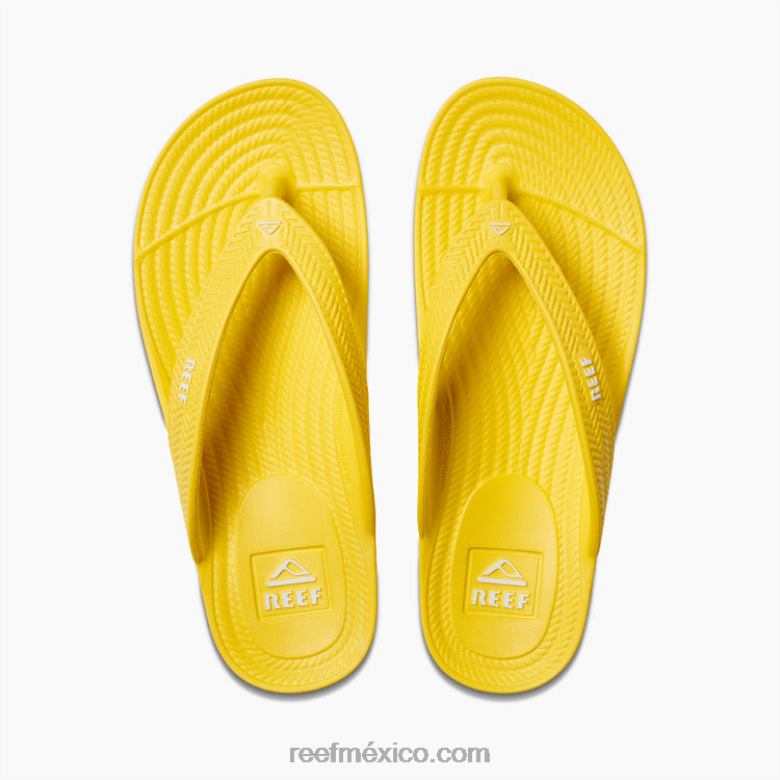 corte de agua Reef mujer soleado B4FFZ99