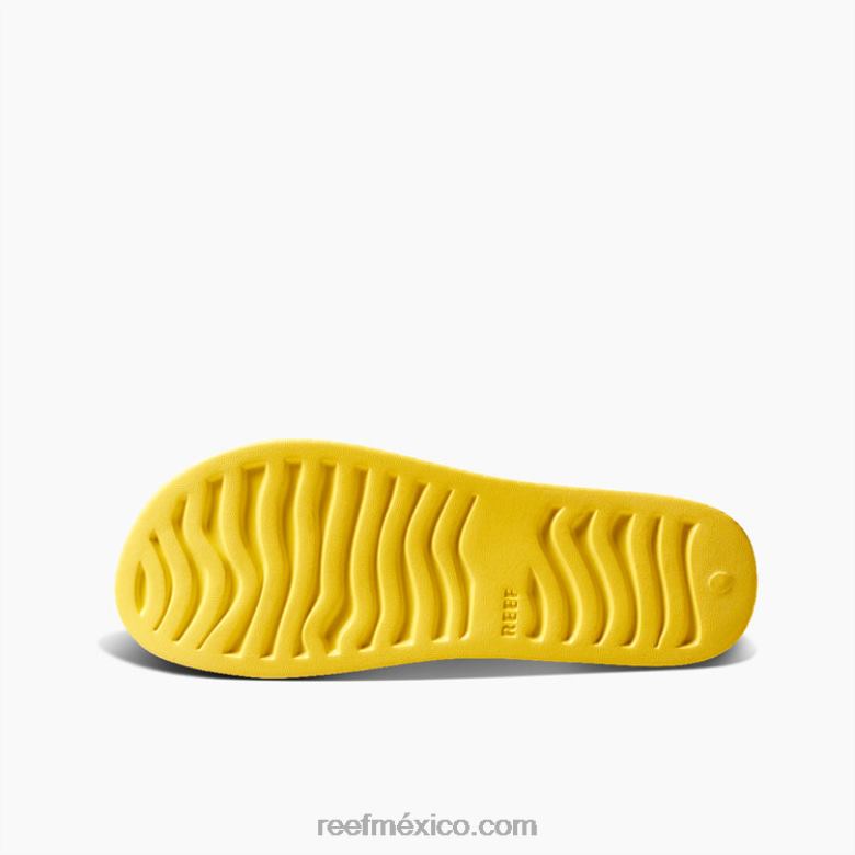 corte de agua Reef mujer soleado B4FFZ99