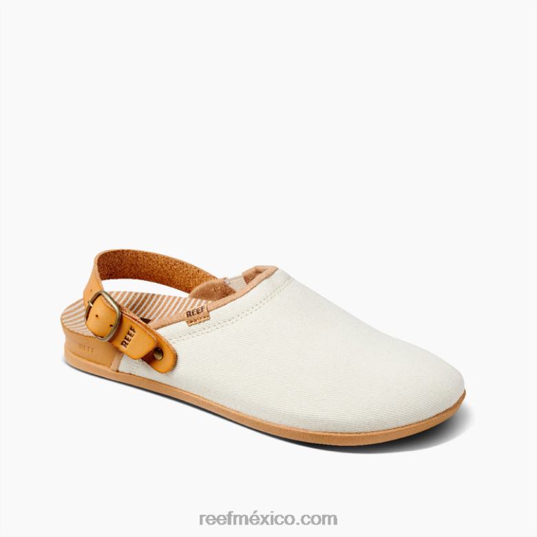 arrecife de salviamujer antiguo B4FFZ233