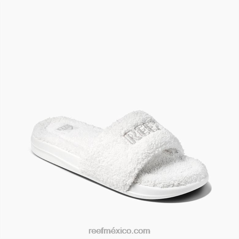 arrecife un tobogán fríomujer susurro B4FFZ200