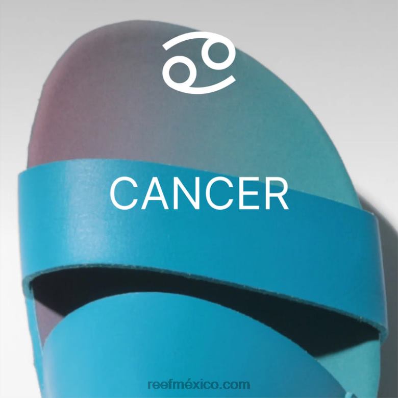 arrecife x cojín santuario vista holamujer cáncer B4FFZ162