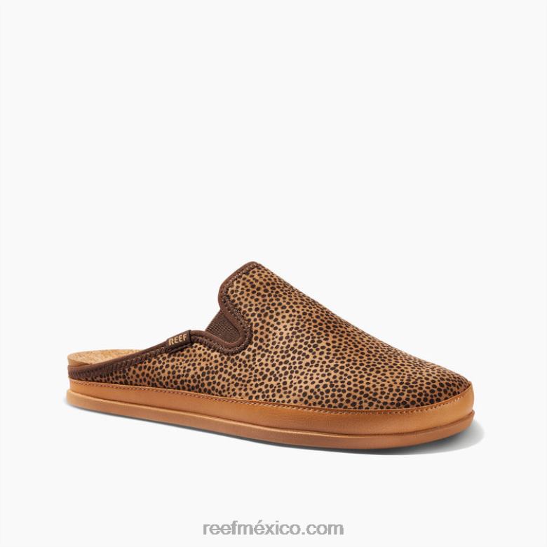 cojín hogareño Reef mujer marrón salvaje B4FFZ216