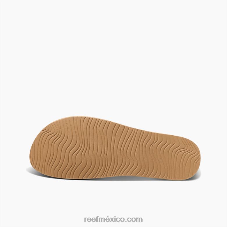 explorador x duendes borrachos Reef mujer Papá Noel rompió Internet B4FFZ181