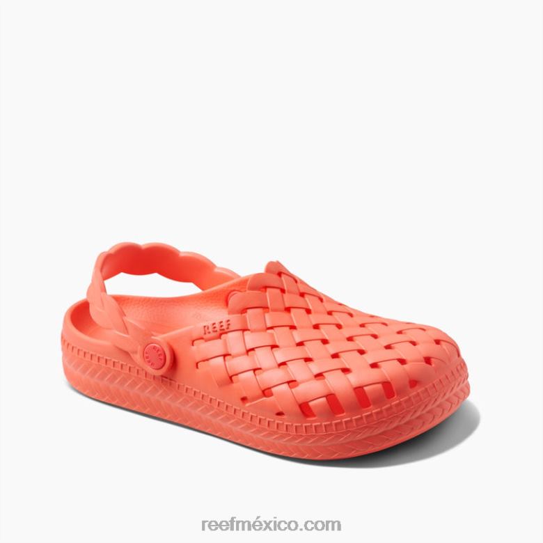 salvia de agua Reef mujer amapola de neón B4FFZ227