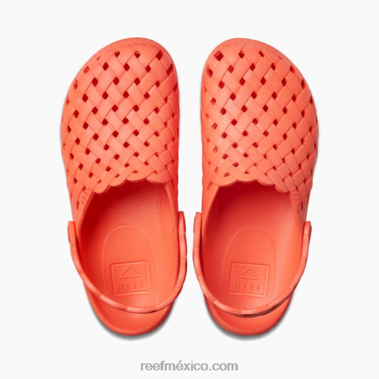 salvia de agua Reef mujer amapola de neón B4FFZ227