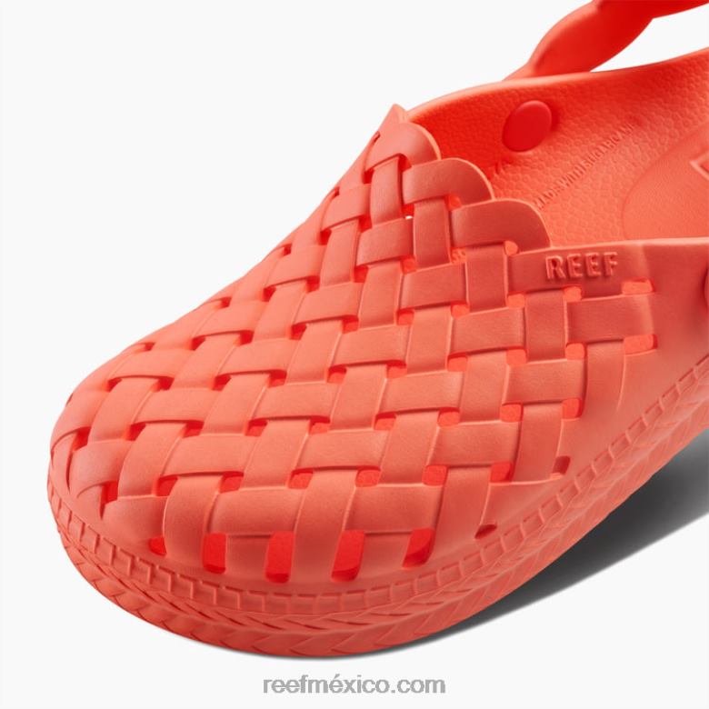 salvia de agua Reef mujer amapola de neón B4FFZ227