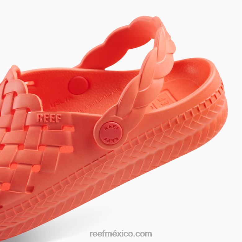 salvia de agua Reef mujer amapola de neón B4FFZ227