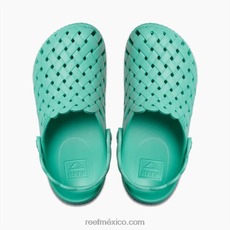 salvia de agua Reef mujer verde azulado neón B4FFZ226