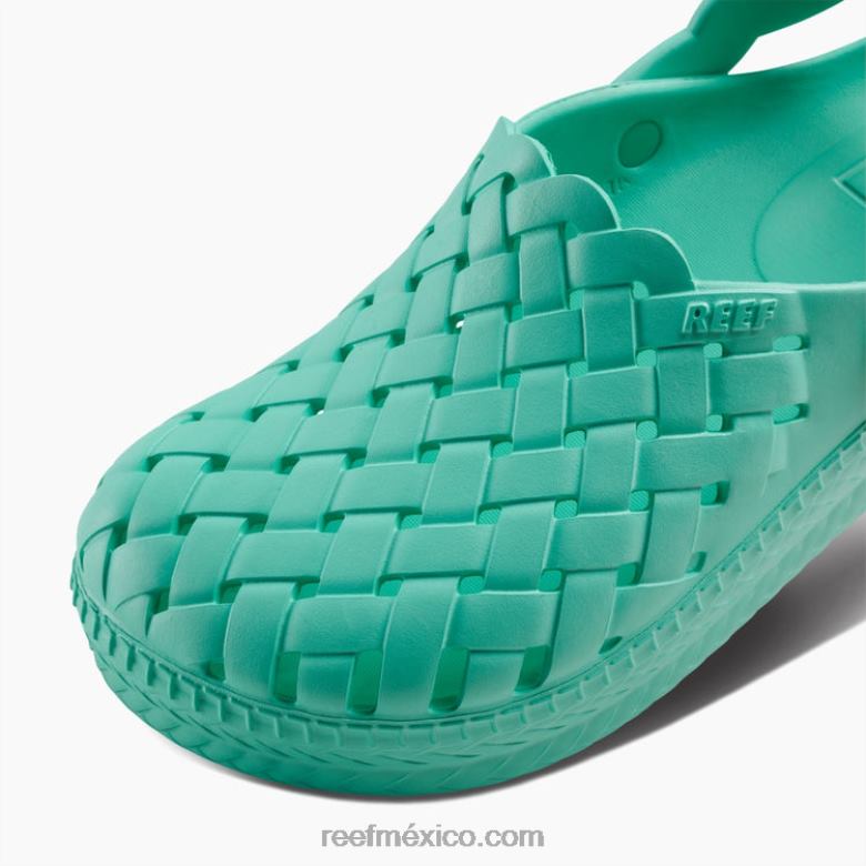 salvia de agua Reef mujer verde azulado neón B4FFZ226