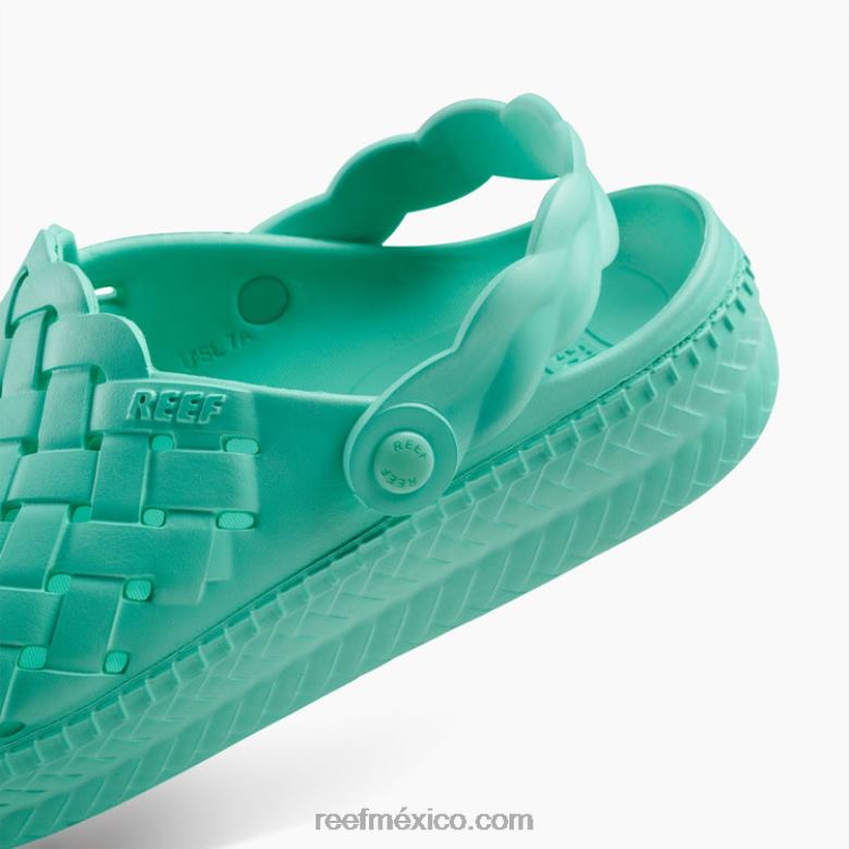 salvia de agua Reef mujer verde azulado neón B4FFZ226